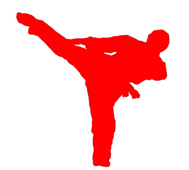 karate - logo