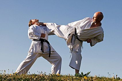 karate (1).jpg