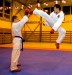 LuKO-sport-karate-archiv-r377_res.jpg